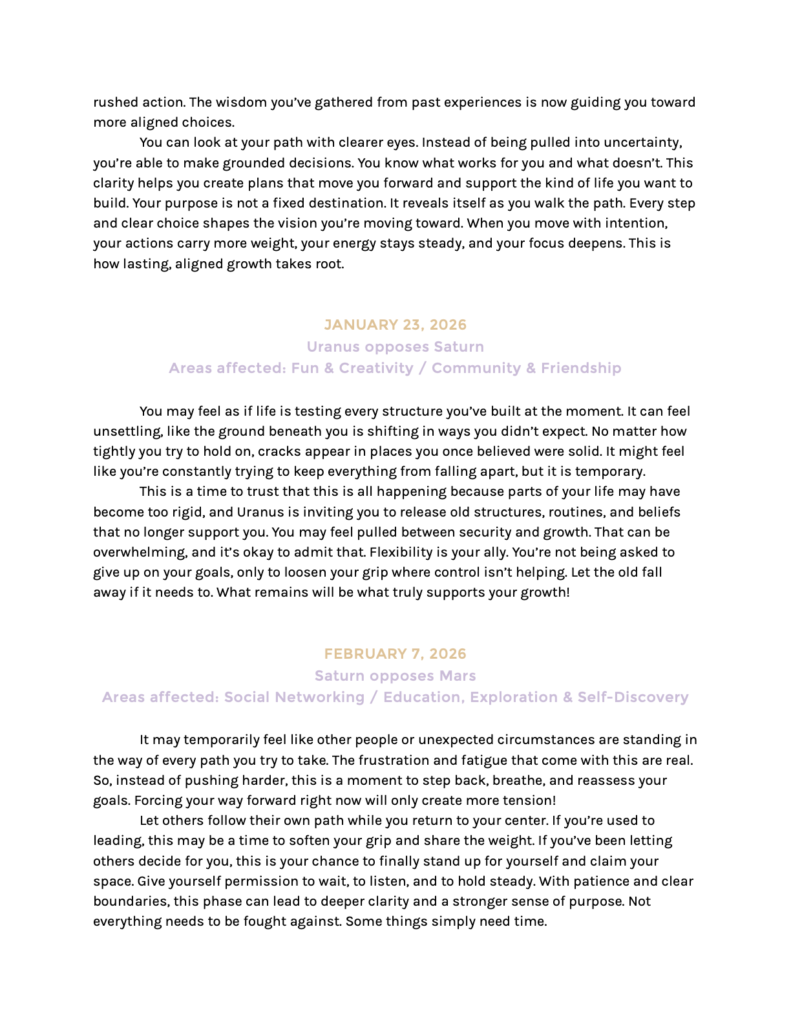 YF-Premium-Template-SAMPLE.11.png